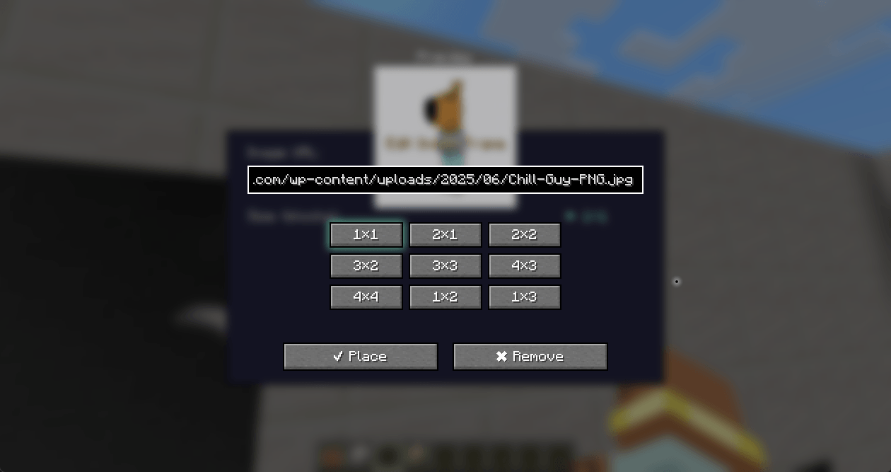 item image