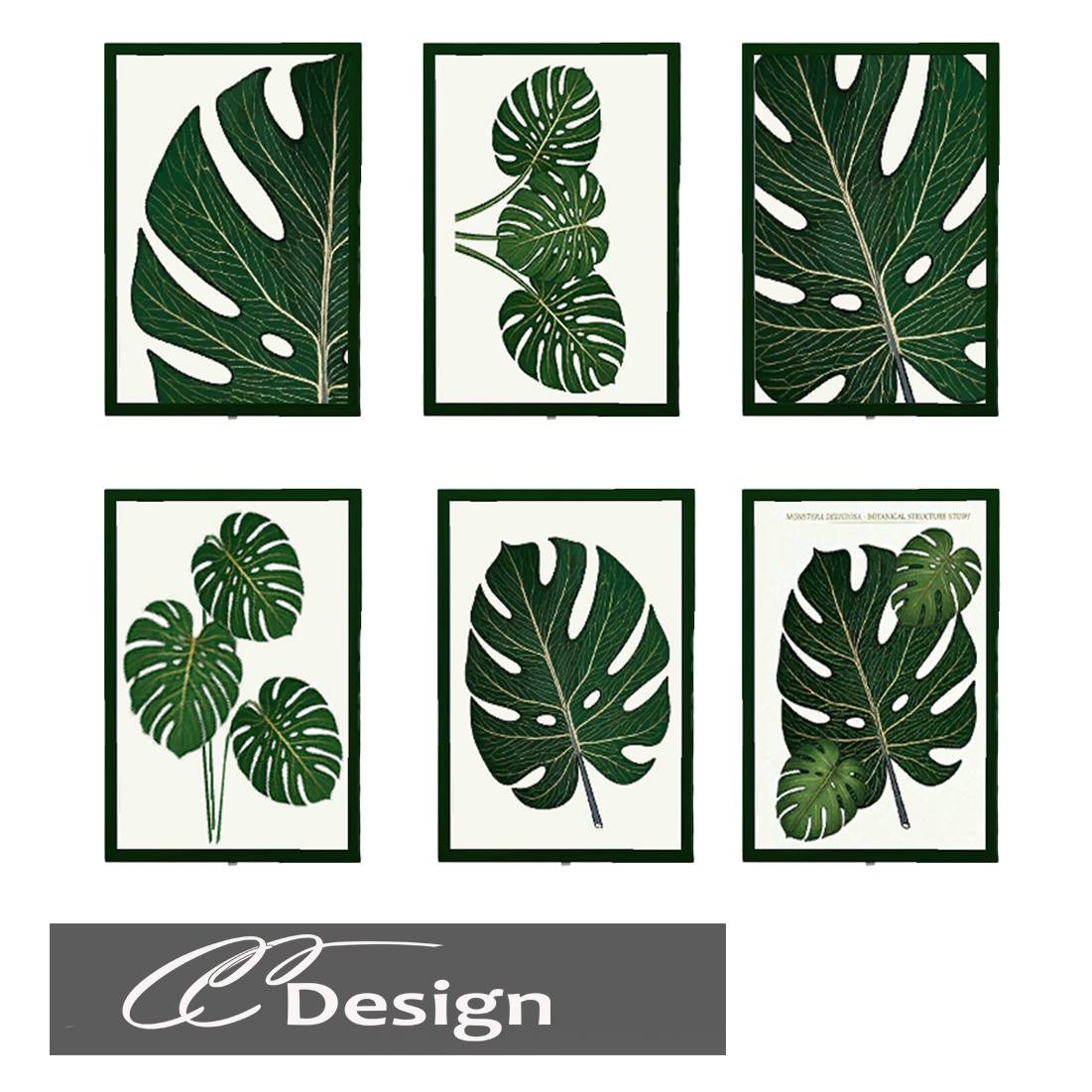 - 6 different designs - 4 frame colors - Base game compatible