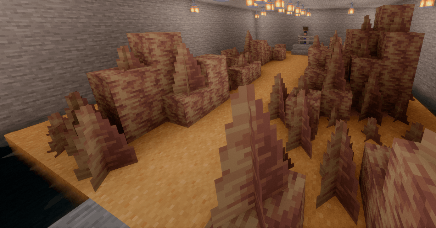 A look inside Brock's gym