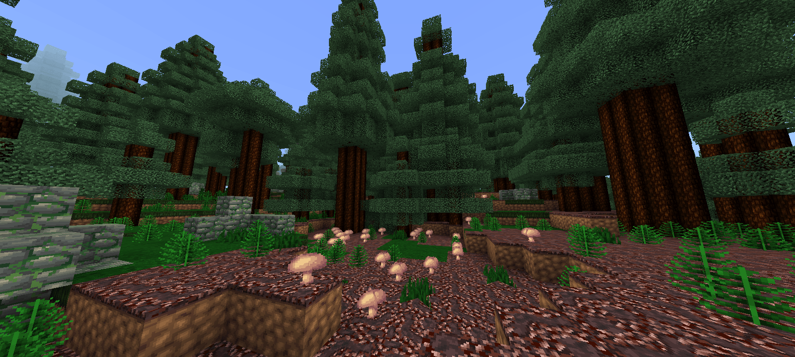 Forest