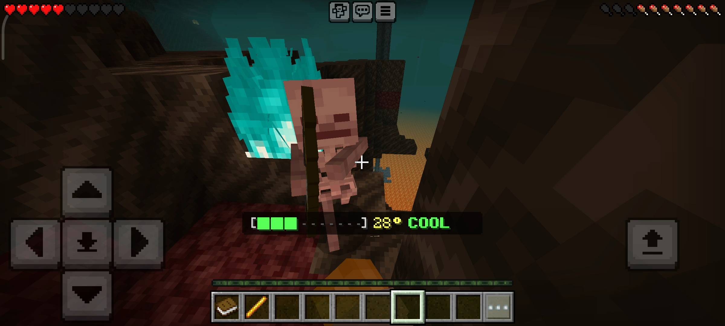 Heat System - Temperature Survival (8).jpg
