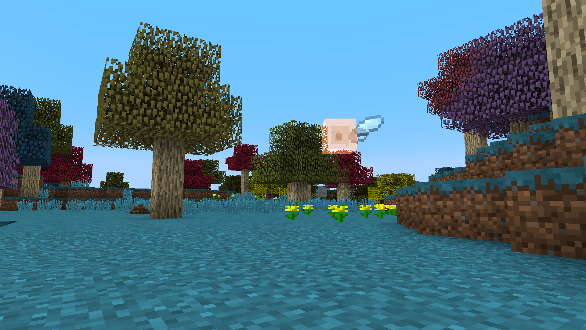 The hallow