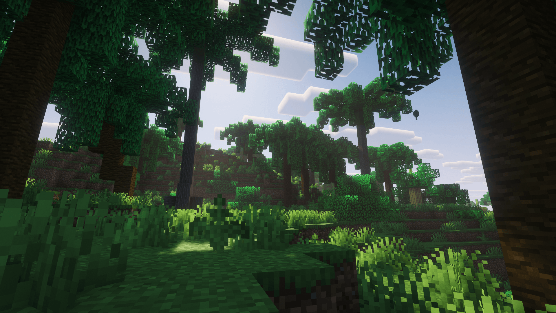 Tropical Palm Forest