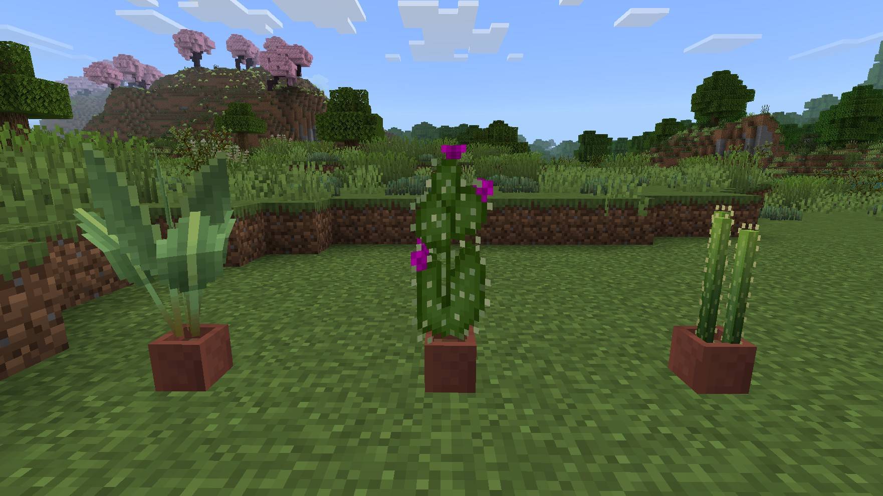 Thumbnail 3d124bf8-f50c-47df-bdd8-3743f8dc9bc9.jpeg