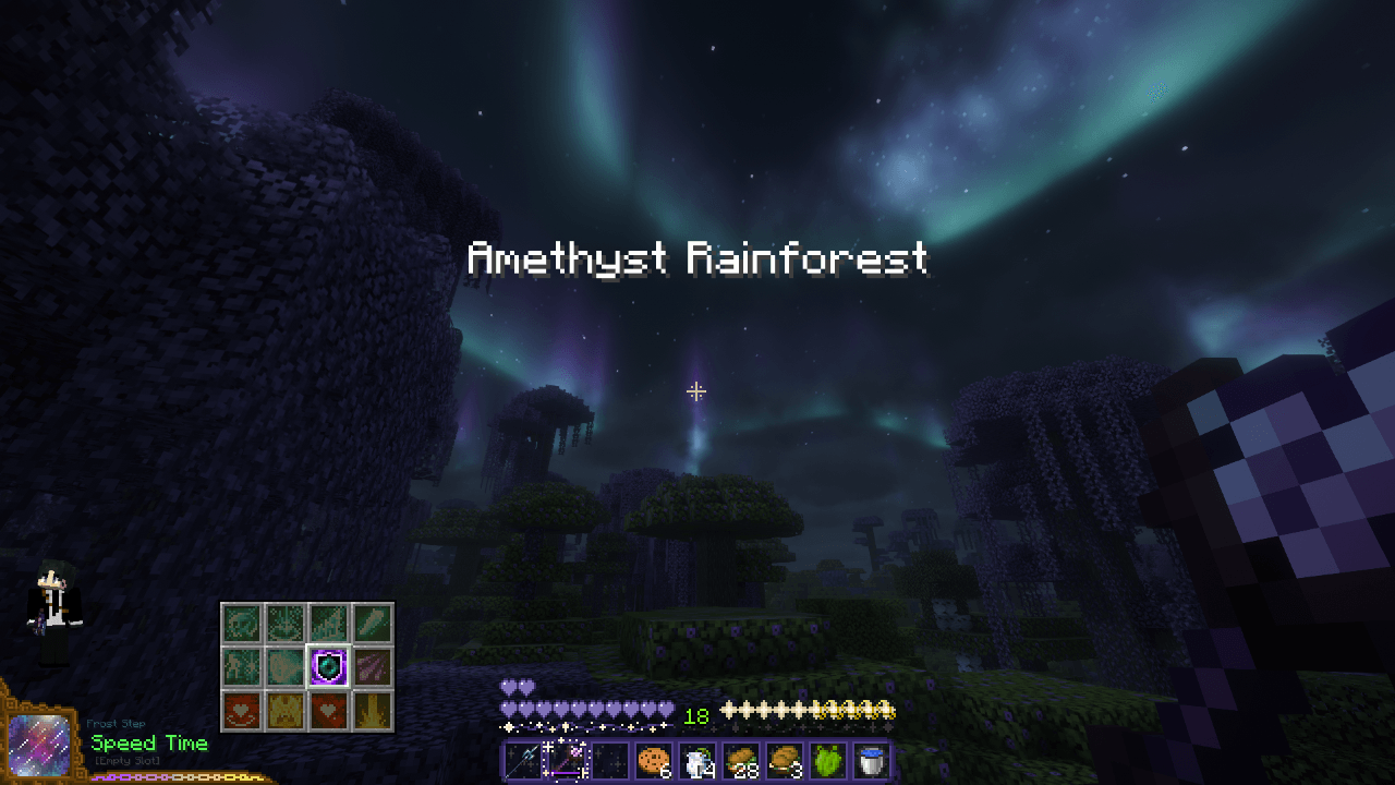 Thumbnail Entering Amethyst Rainforest.png