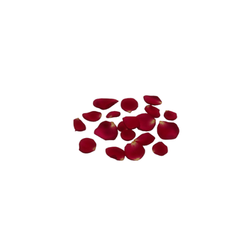 3004 new object (2).png