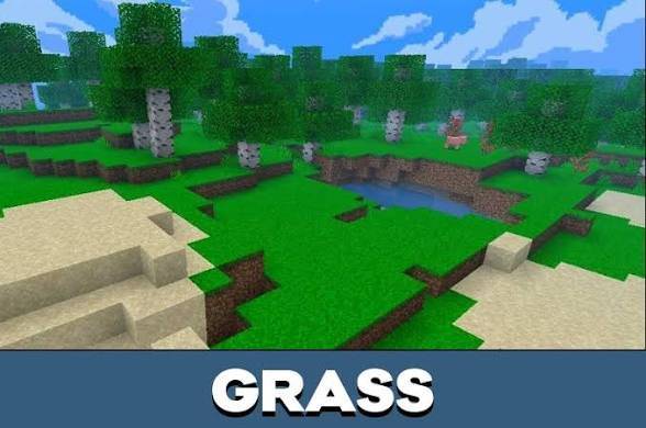 images (4).jpeg