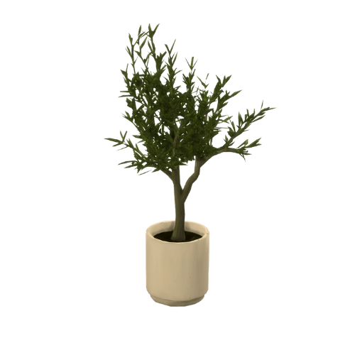 0105 new object (4).png
