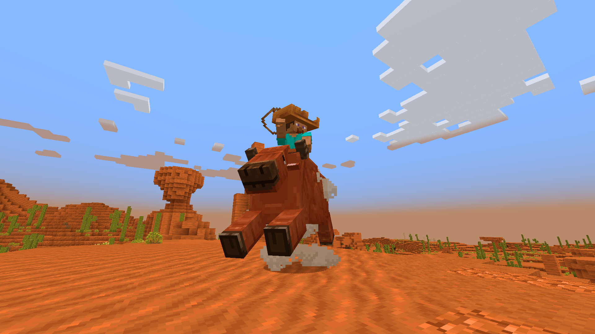 Rodeo!!!