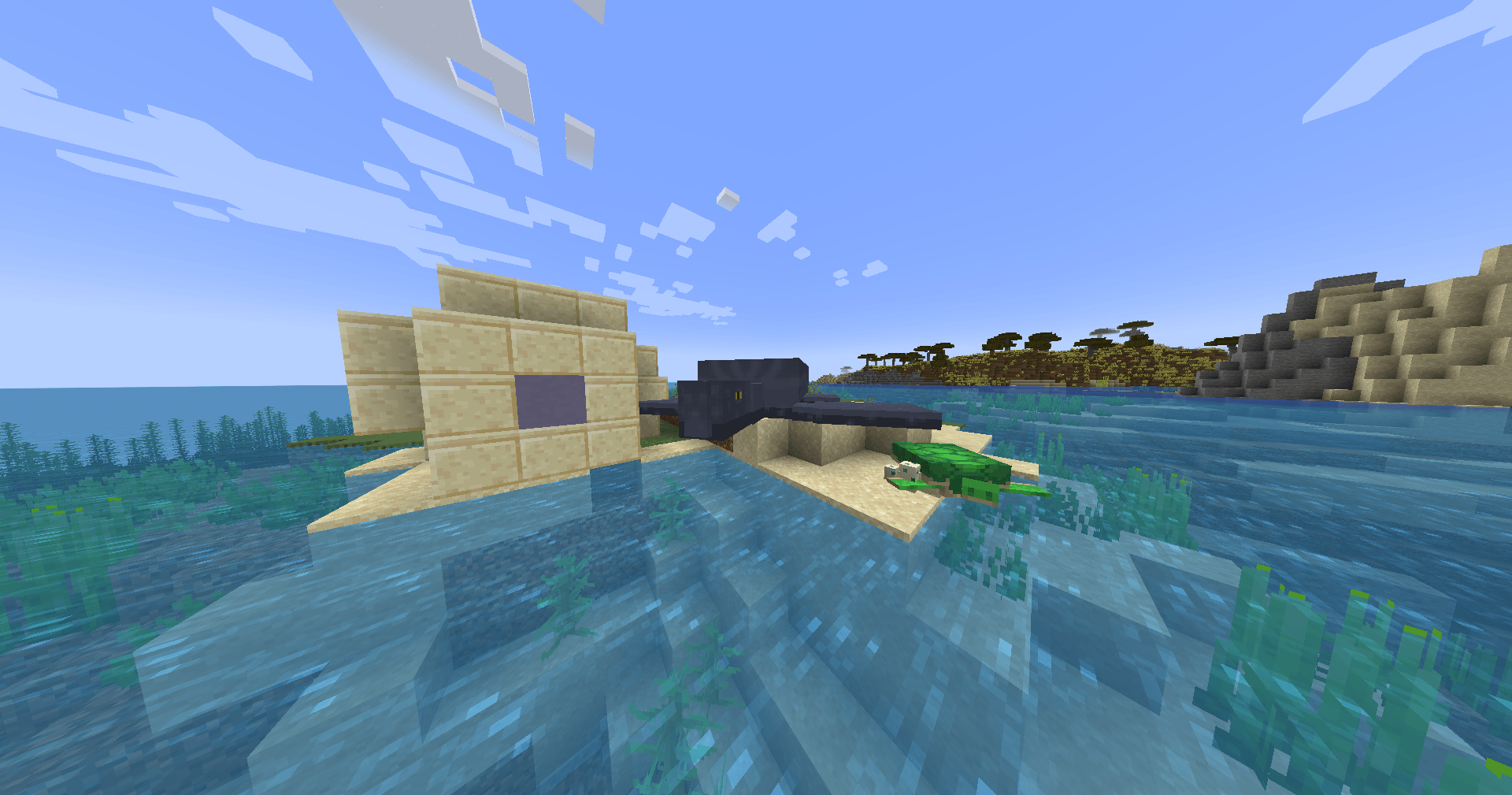 some turtles