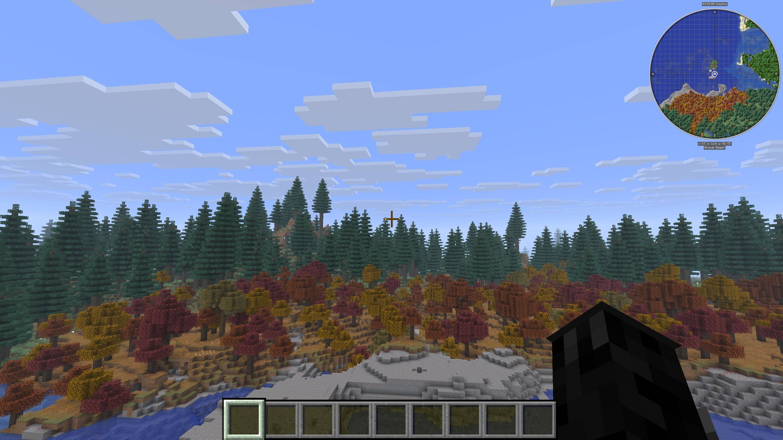 A big forest. Unlimited Wood.