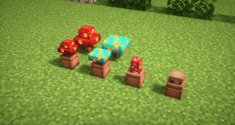 3D Mushroom