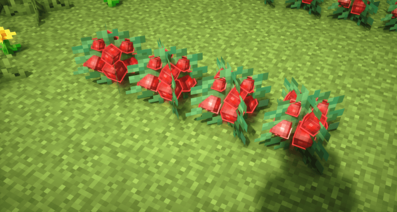 3D Berries