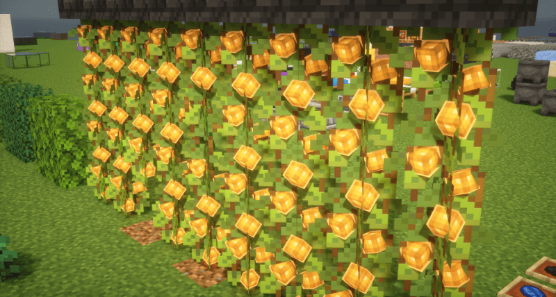3D Berries
