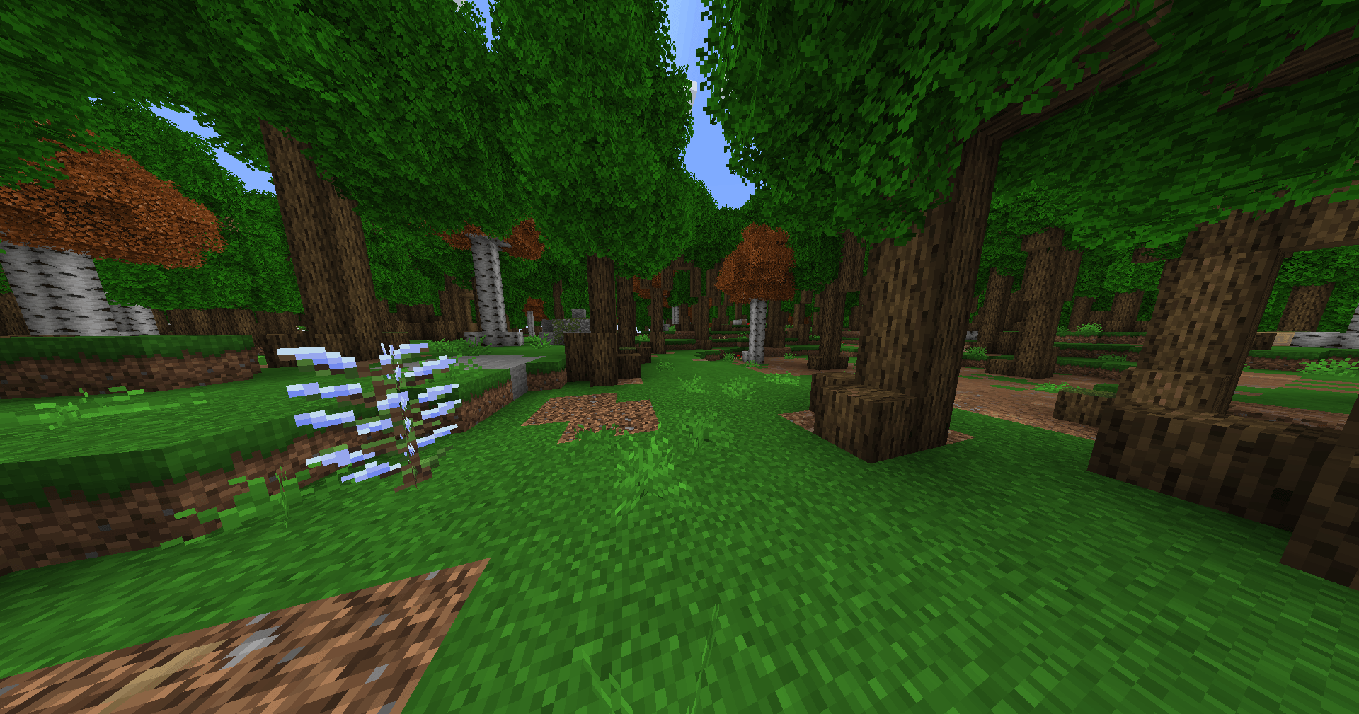Thumbnail forest.png