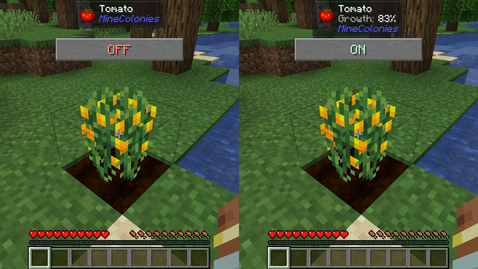showcase.png