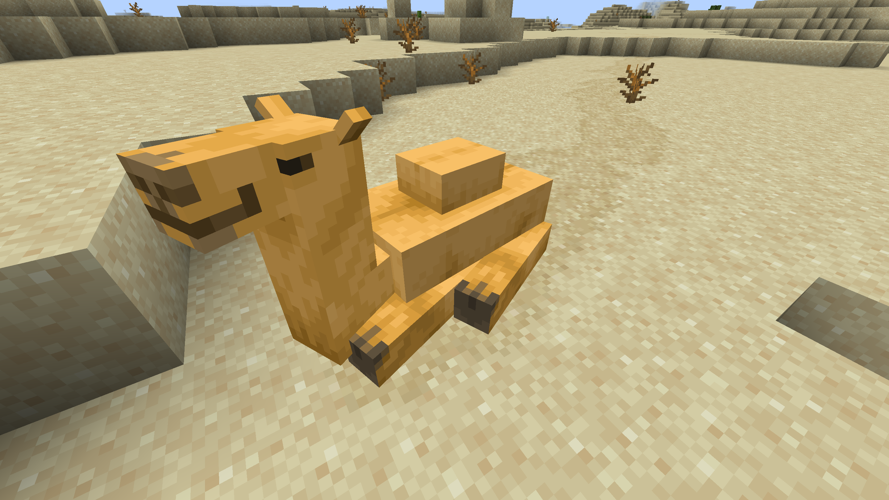 Camel