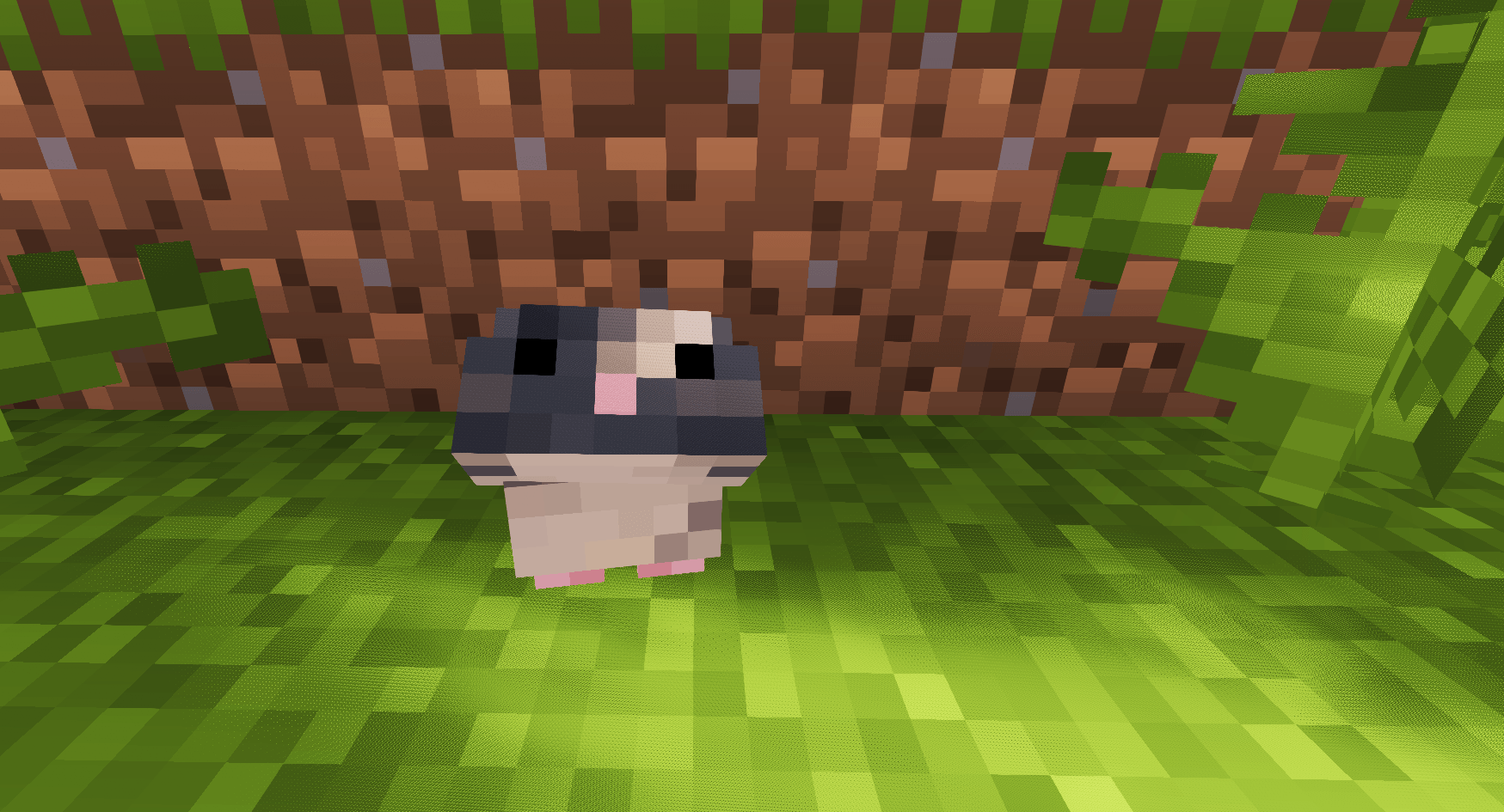 Screenshot 2026-05-09 121436.png