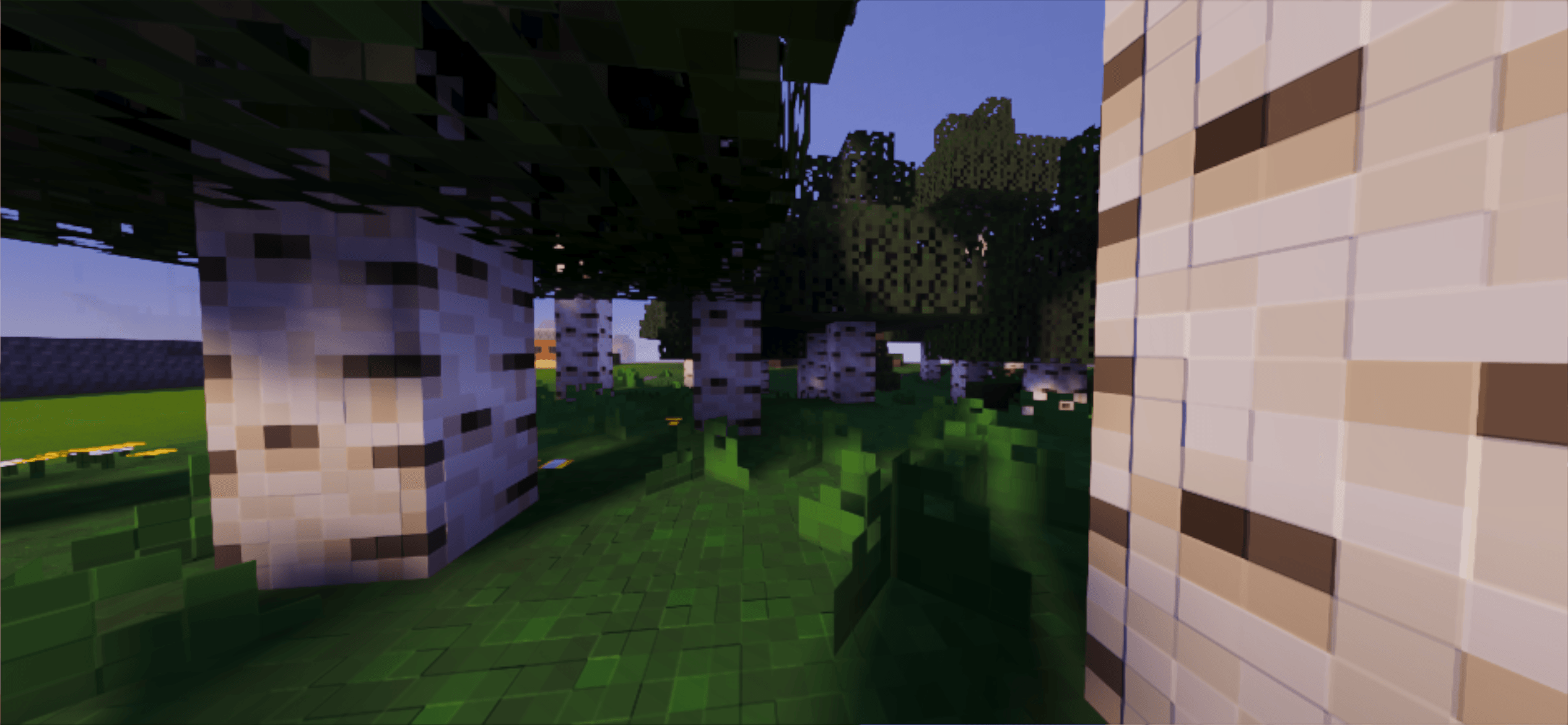 IMG_7578.png