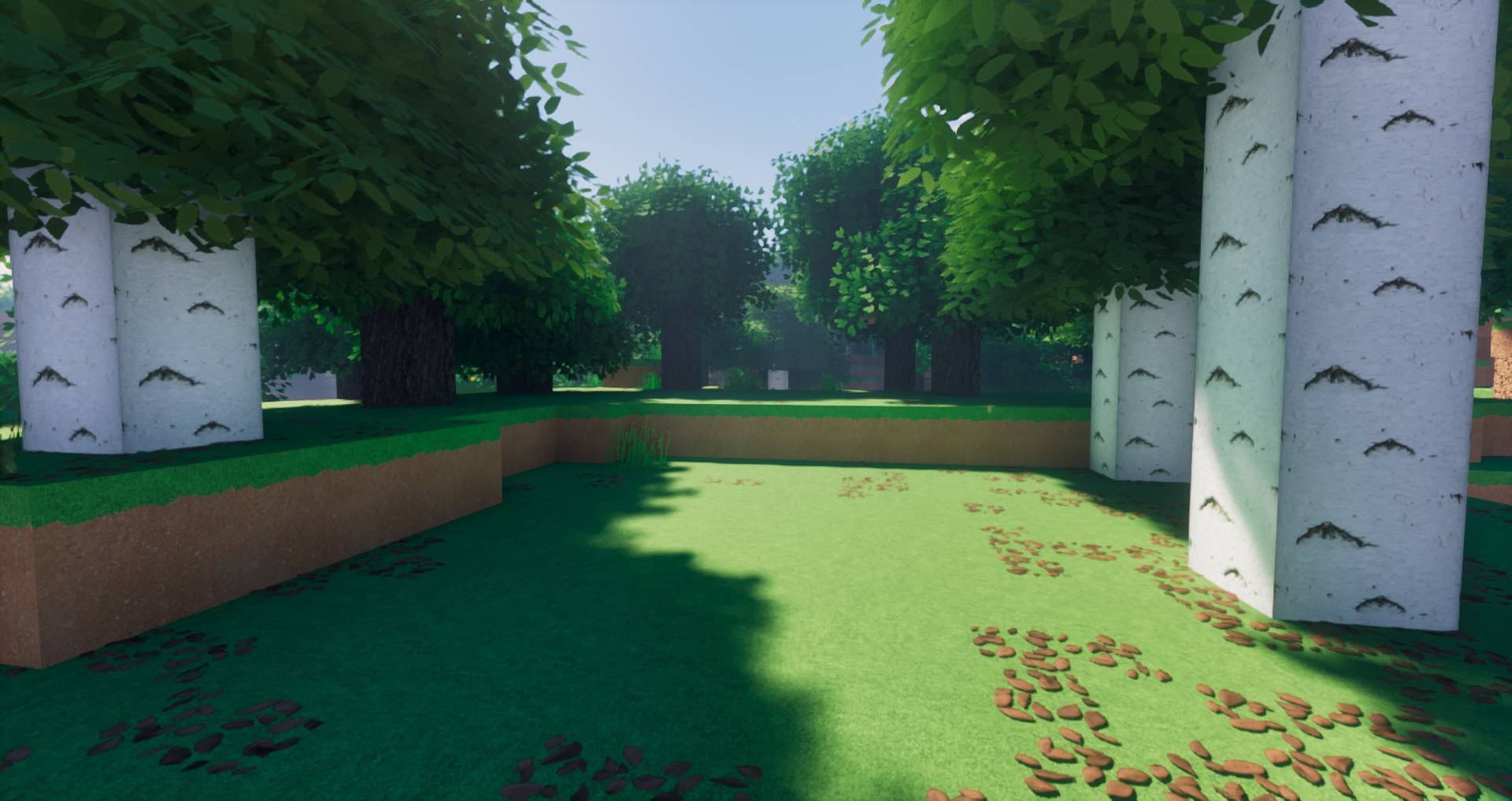forest.jpg