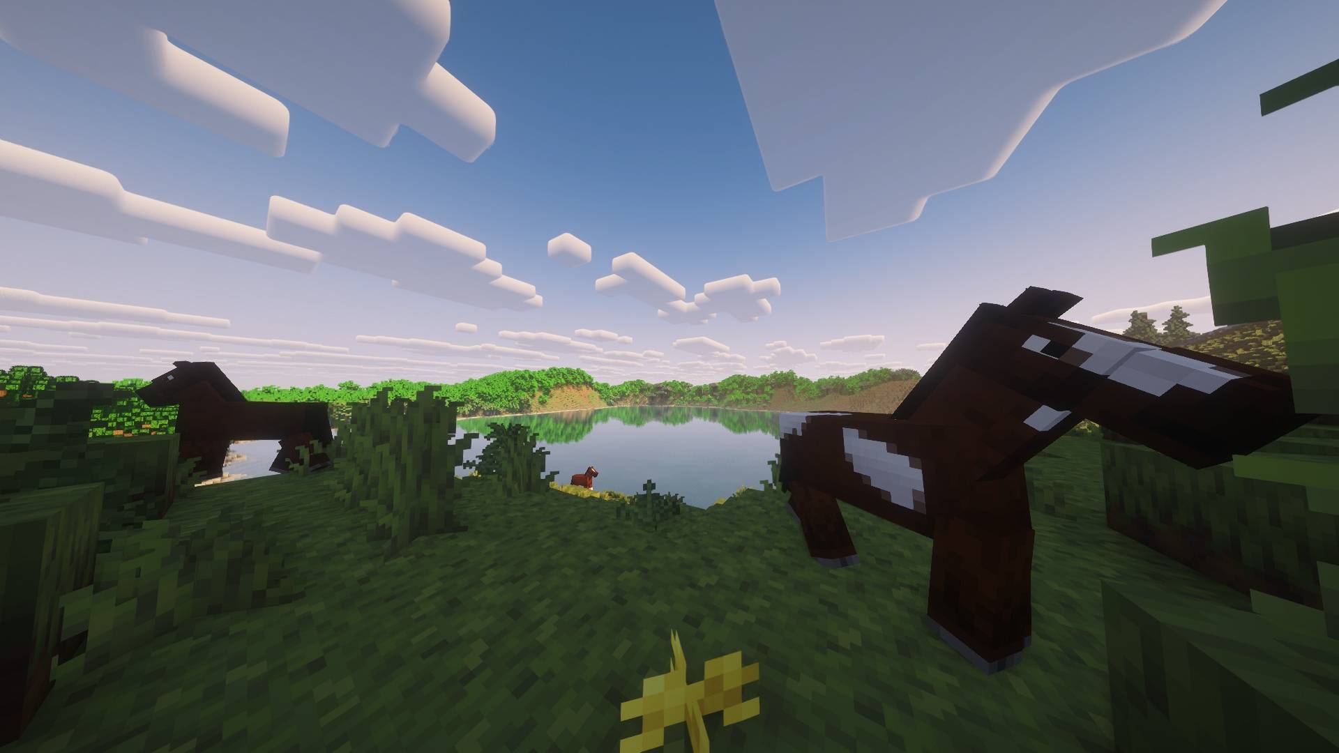All mobs has different animations!
Even you.