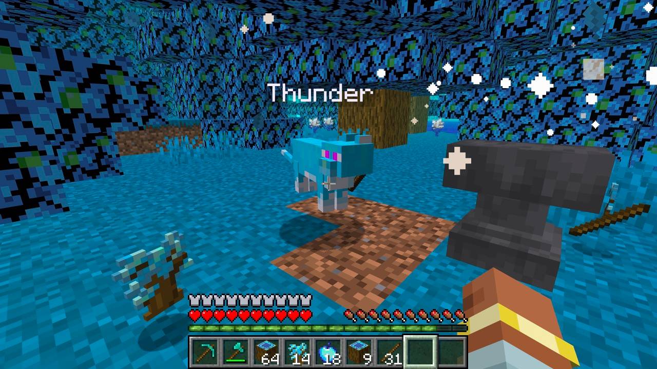 A photograph from the unfinished 1.1 that's yet to come.