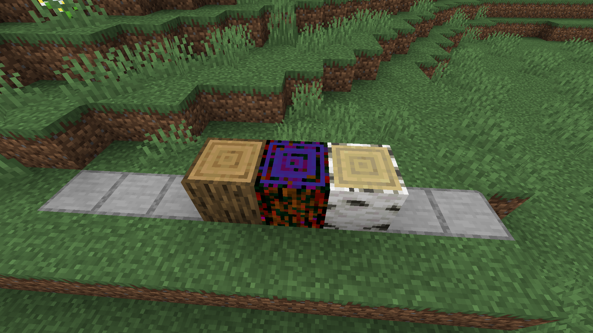 Thumbnail NOTES: Aberrant logs with two vanilla logs to its sides. Take into account how the aberrant log retains certain traits of similar dimension-native wood blocks