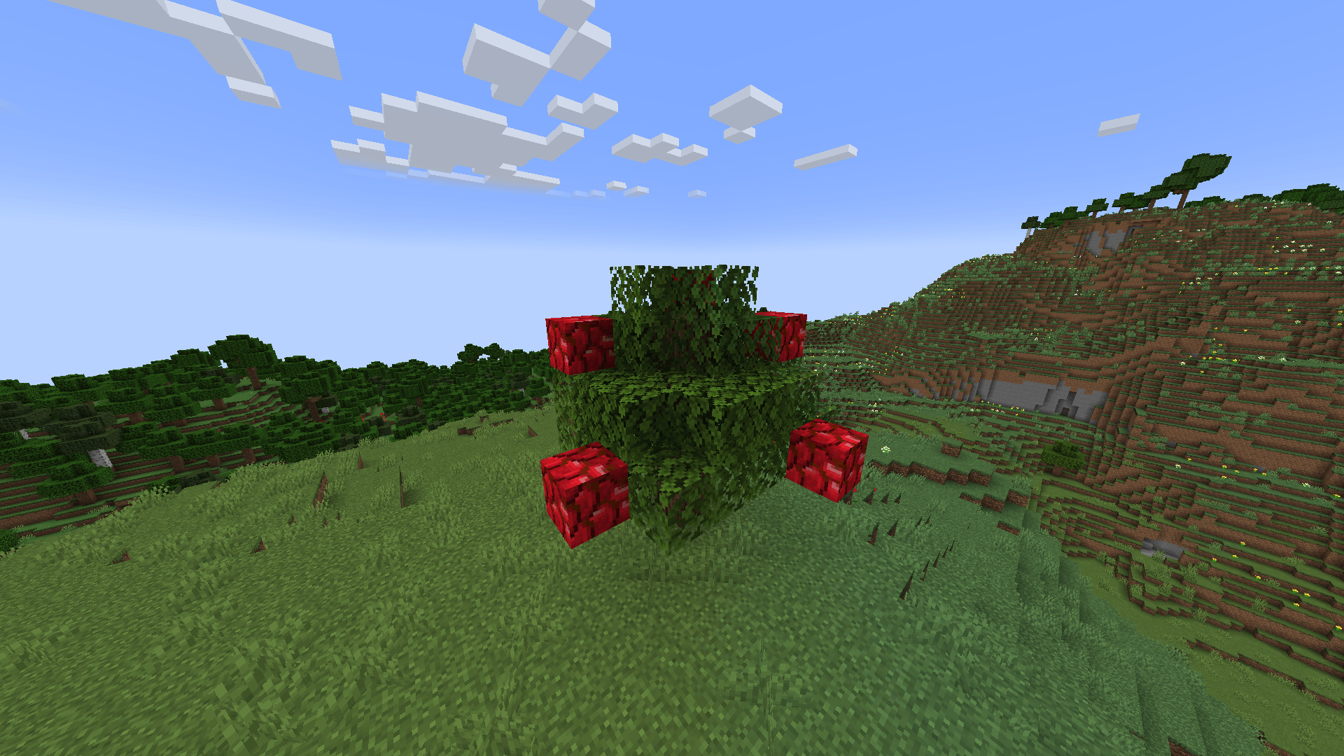 A wild apple tree