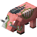 Thumbnail 1000054494.png