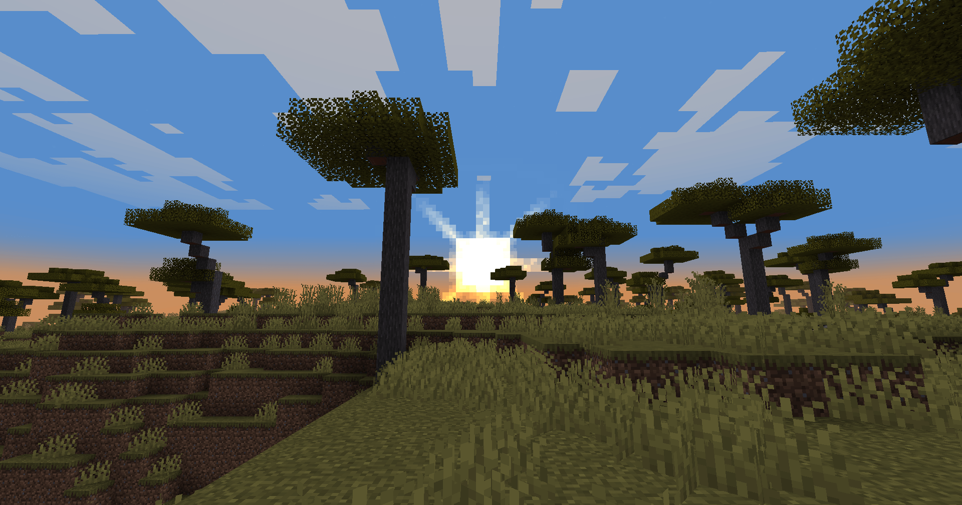 Savanna Sunset