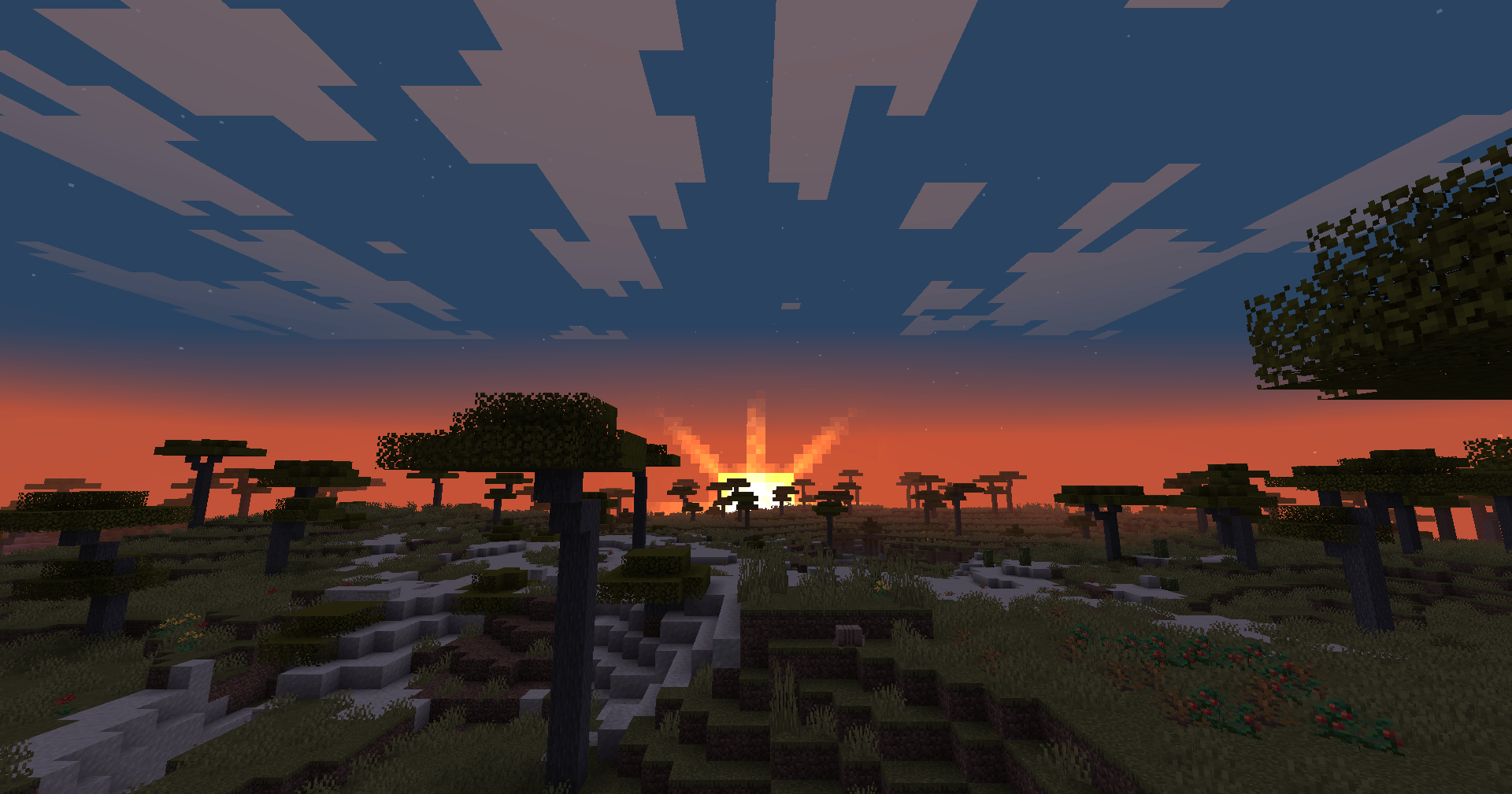 Why did i take so many sunset pics lol
