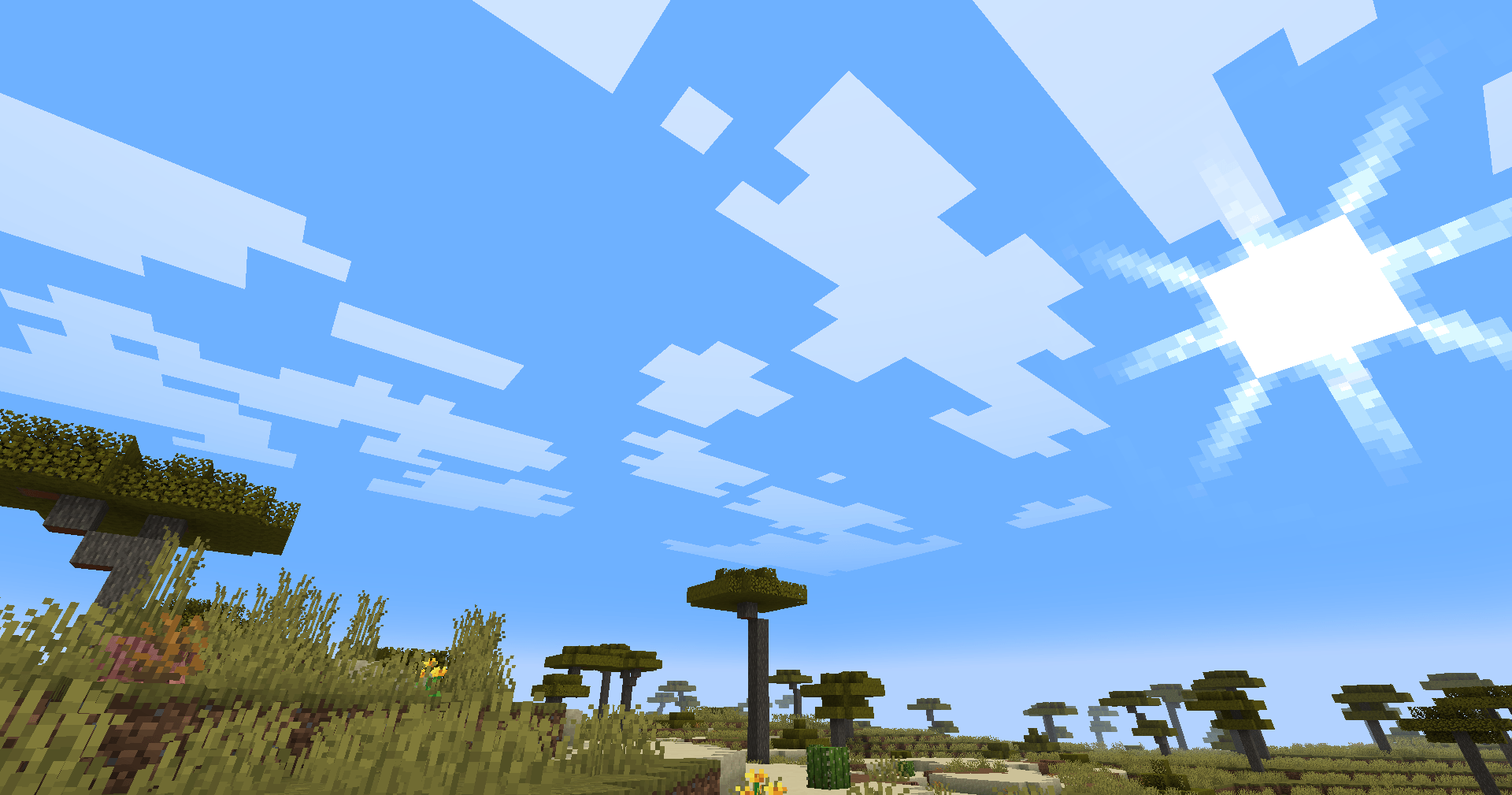 Pretty sun making the savanna look hotter than before!