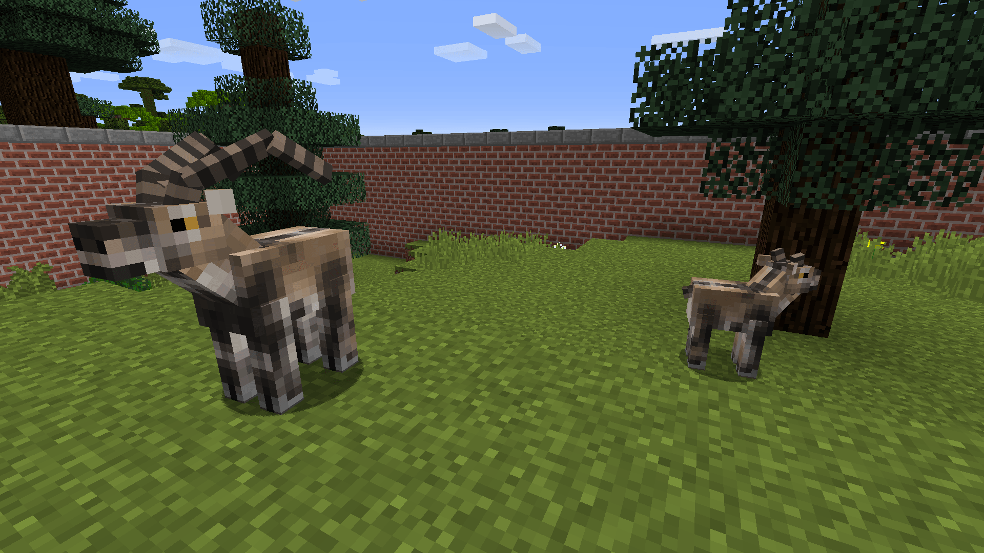 Thumbnail Iberian Ibex