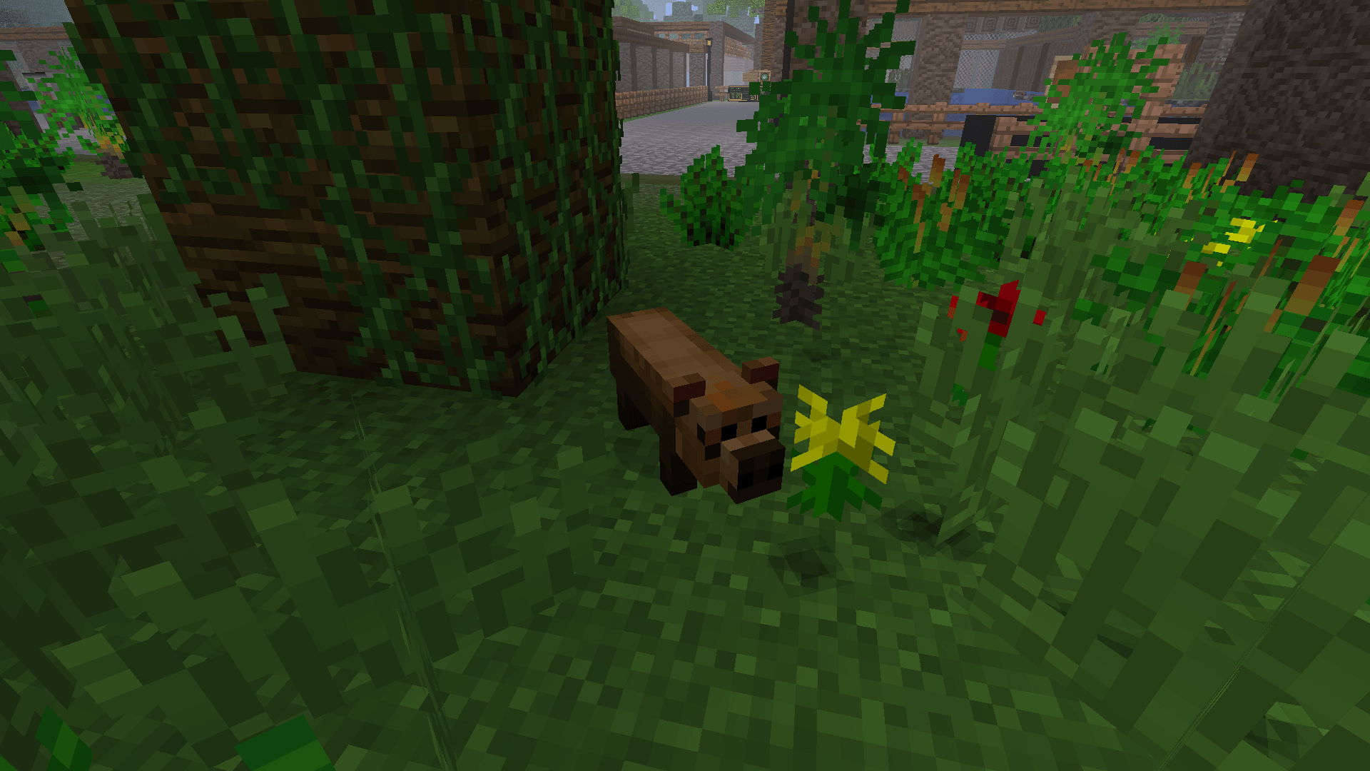 Thumbnail Bushdog