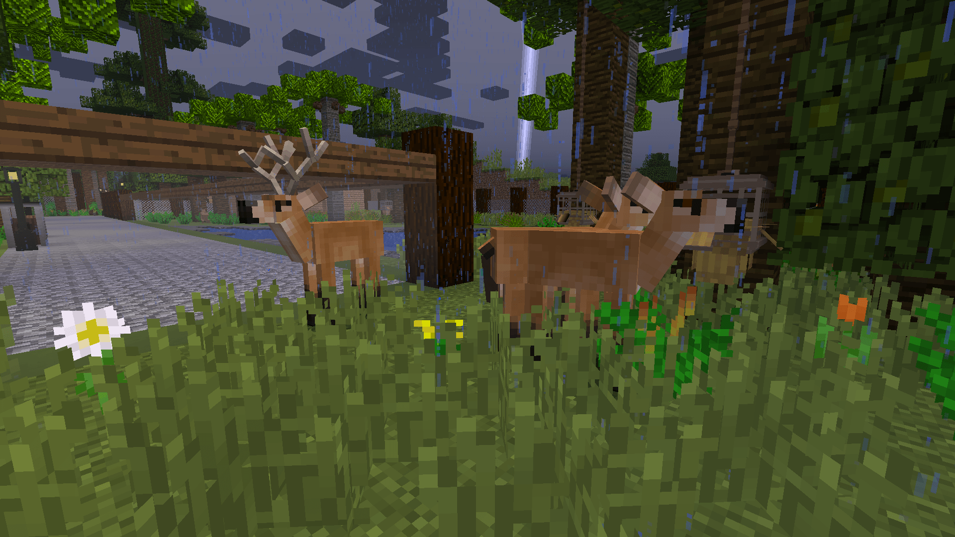 Thumbnail Marsh Deer