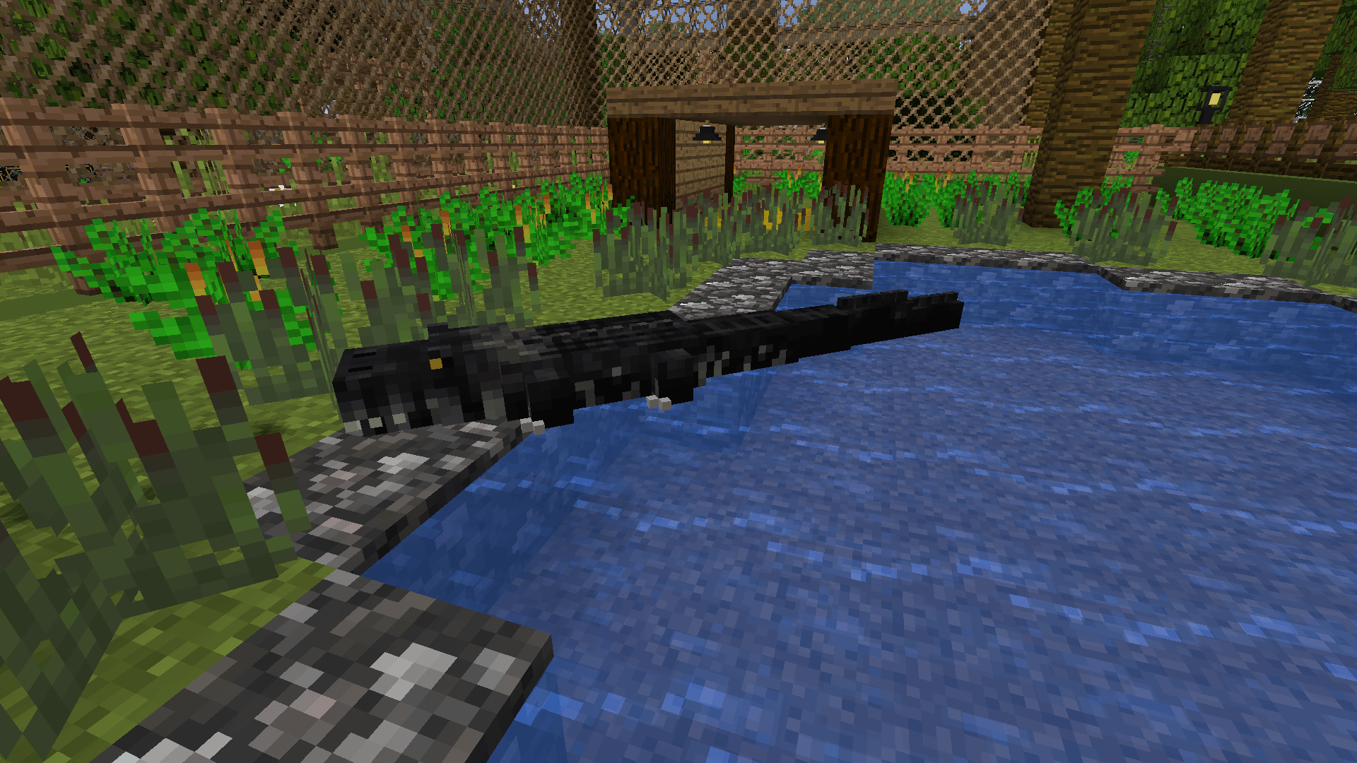 Thumbnail Black Caiman