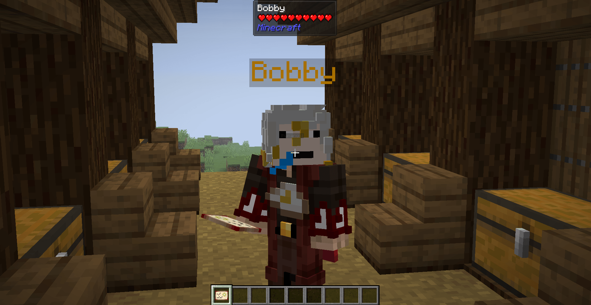Thumbnail Here is when the nametag is shown, you can also see that nametag are shown on nametags!