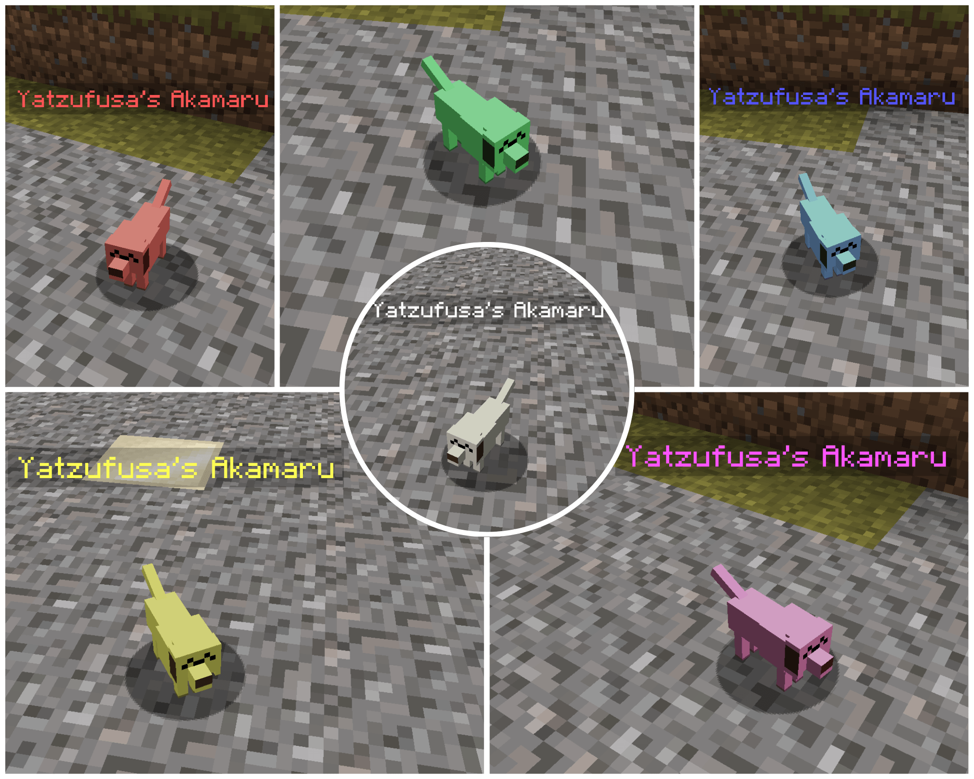 Every pet has 5 color gradient variations called "shiny forms".