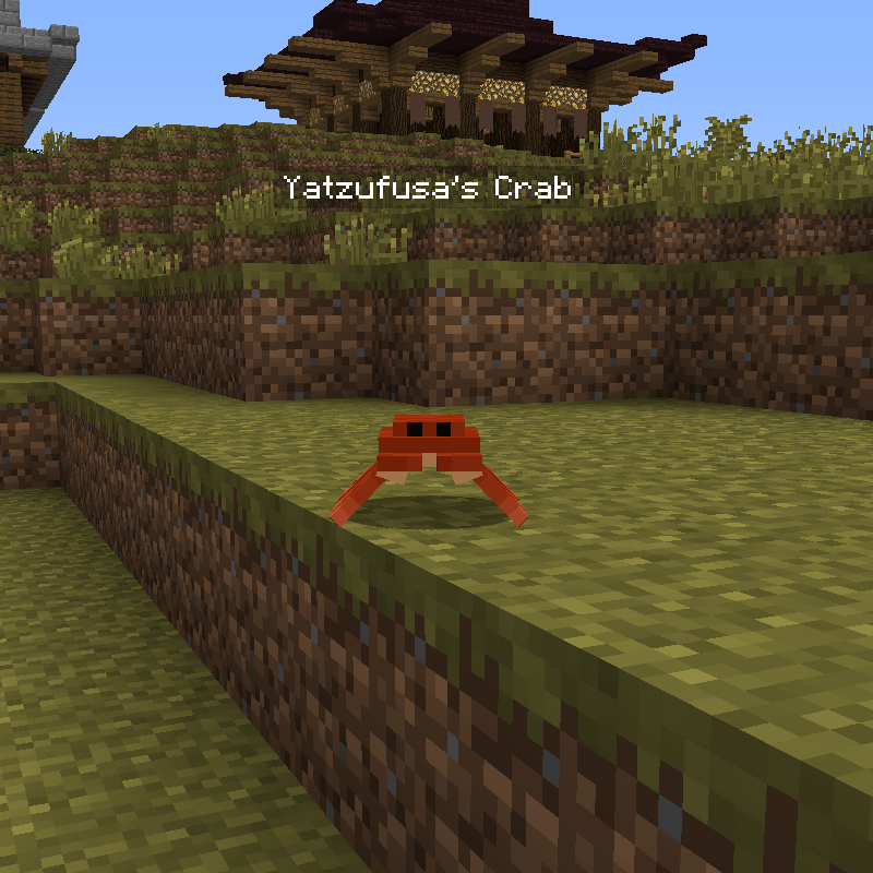 The smol crab pet