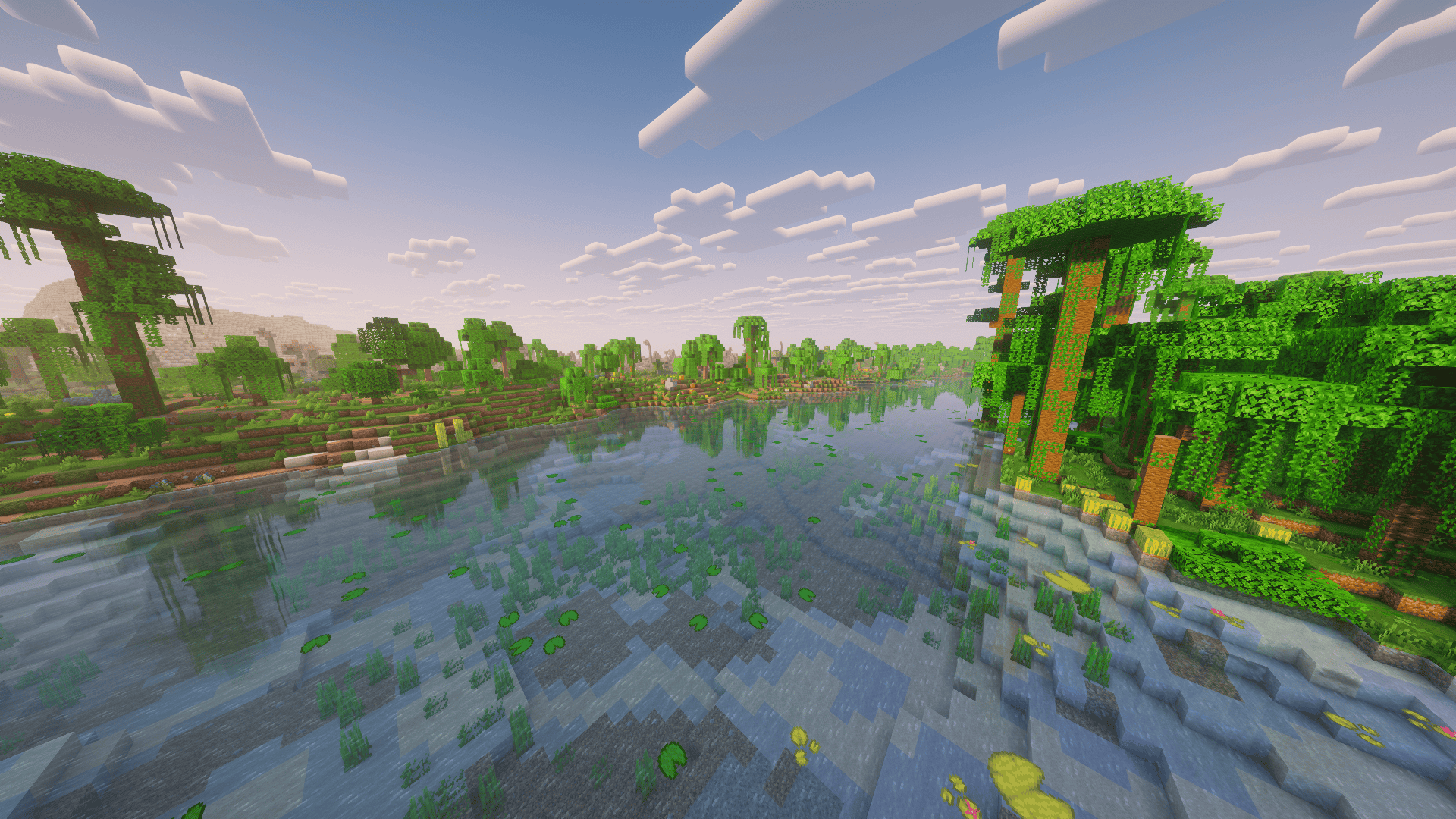 A nice jungle river