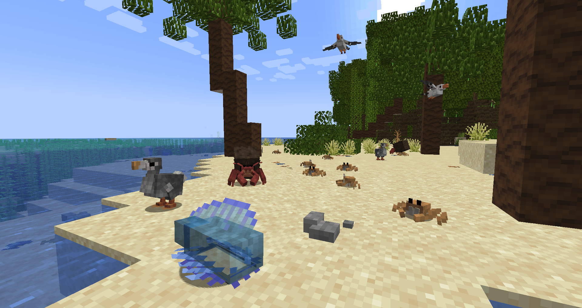 Thumbnail Beach Creatures