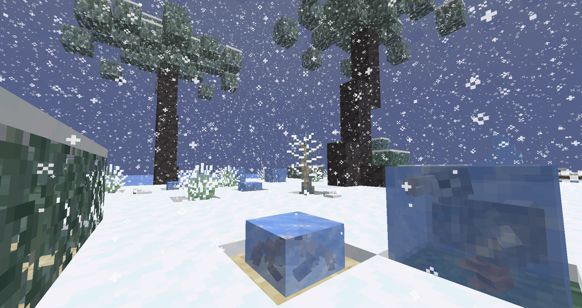 Thumbnail Enhanced Frozen Beach Biome