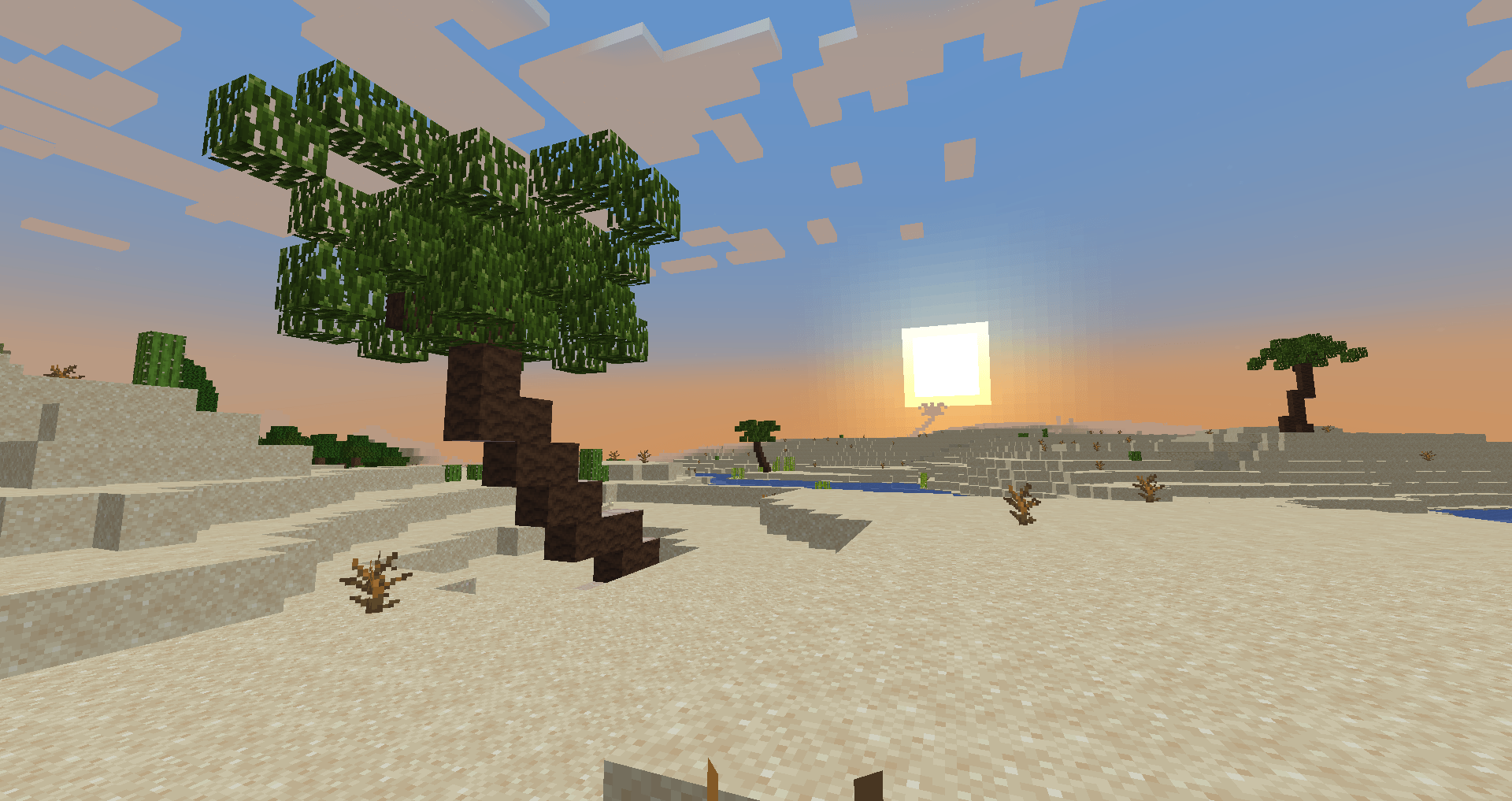 Thumbnail Palms also generate in deserts