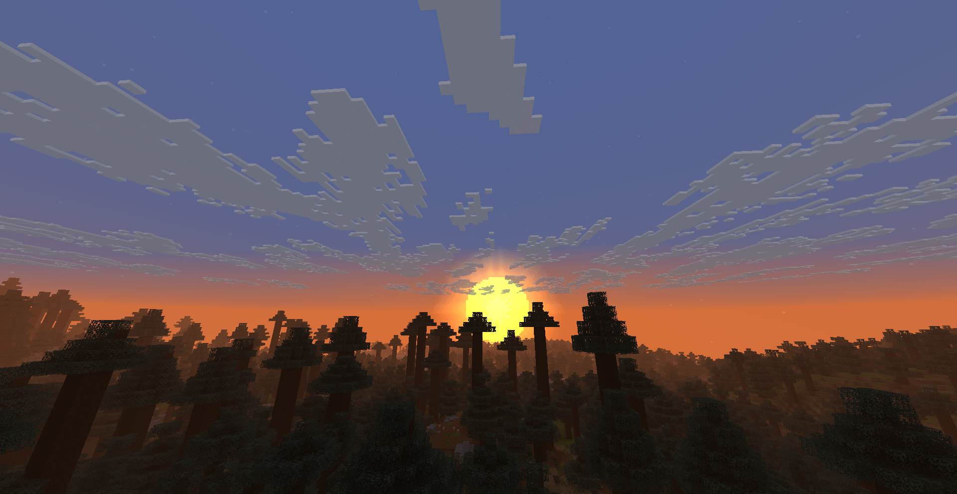 Morning Sun