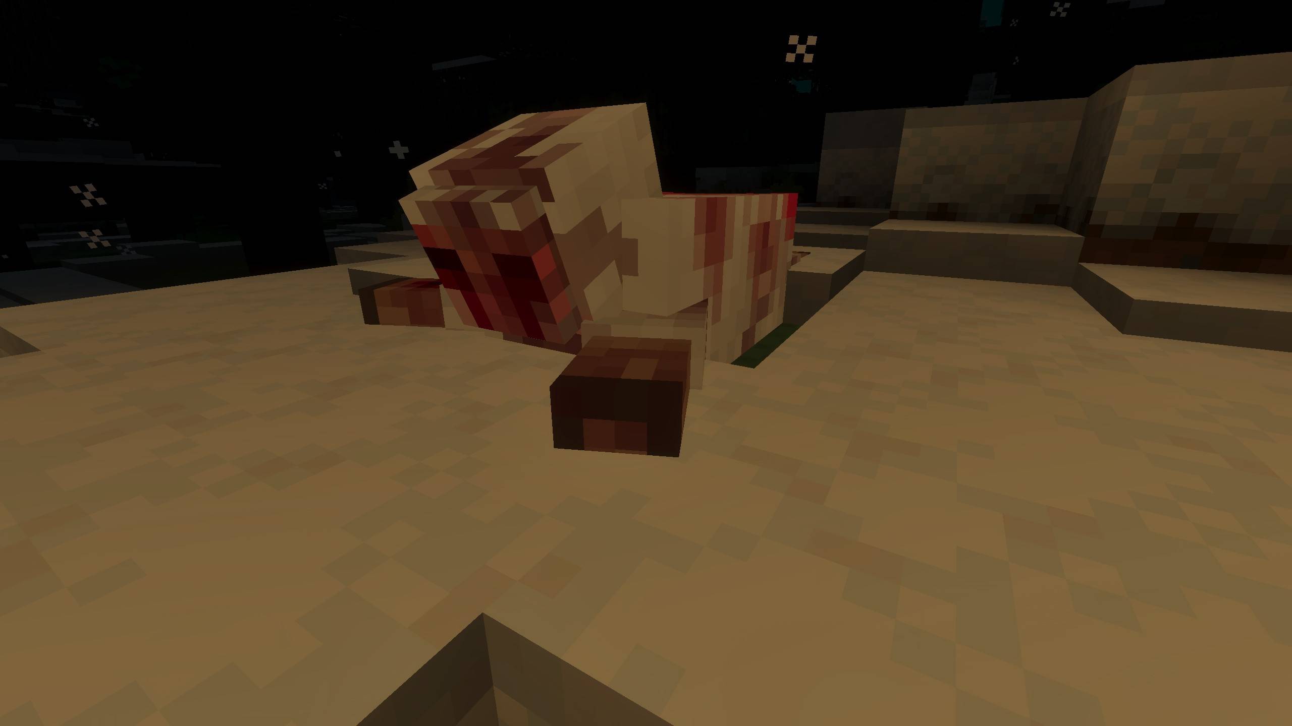 A body of a sheep, dismembered and laying in the snow