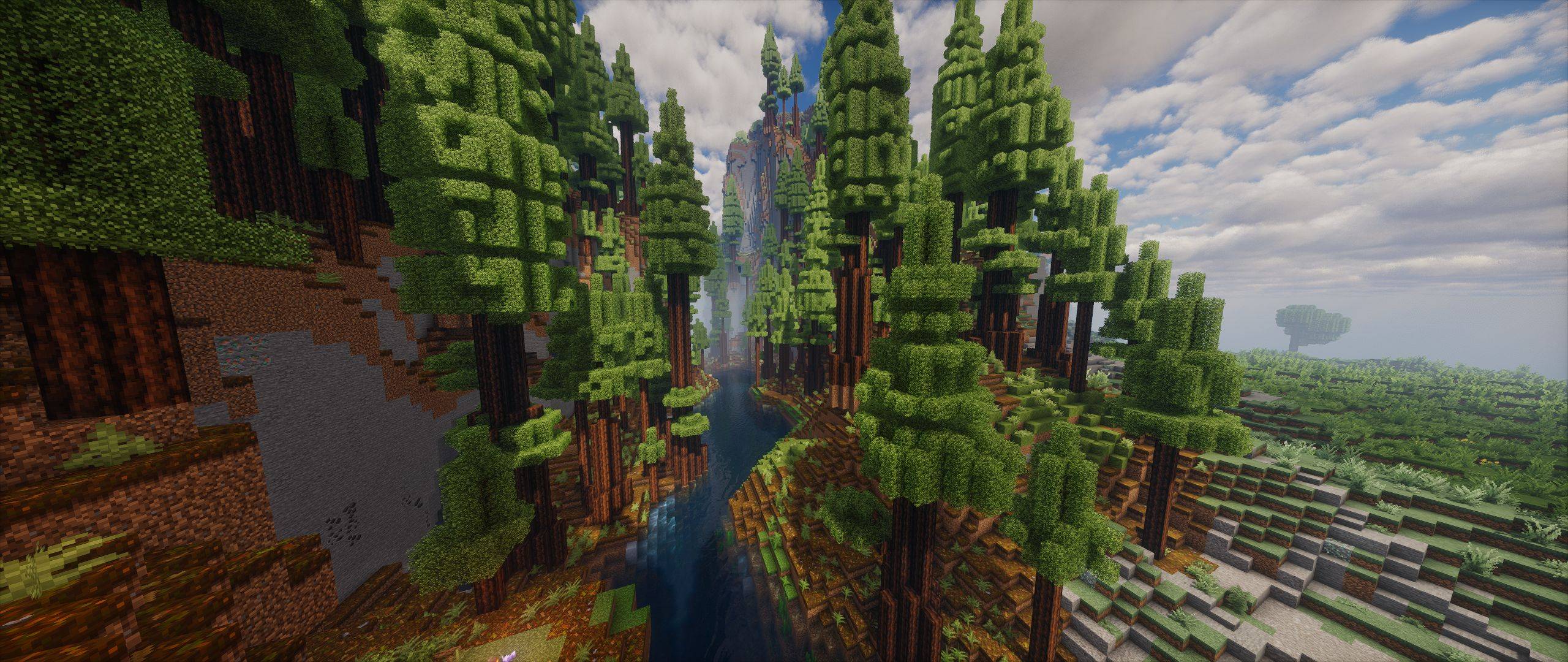 Redwood Biome