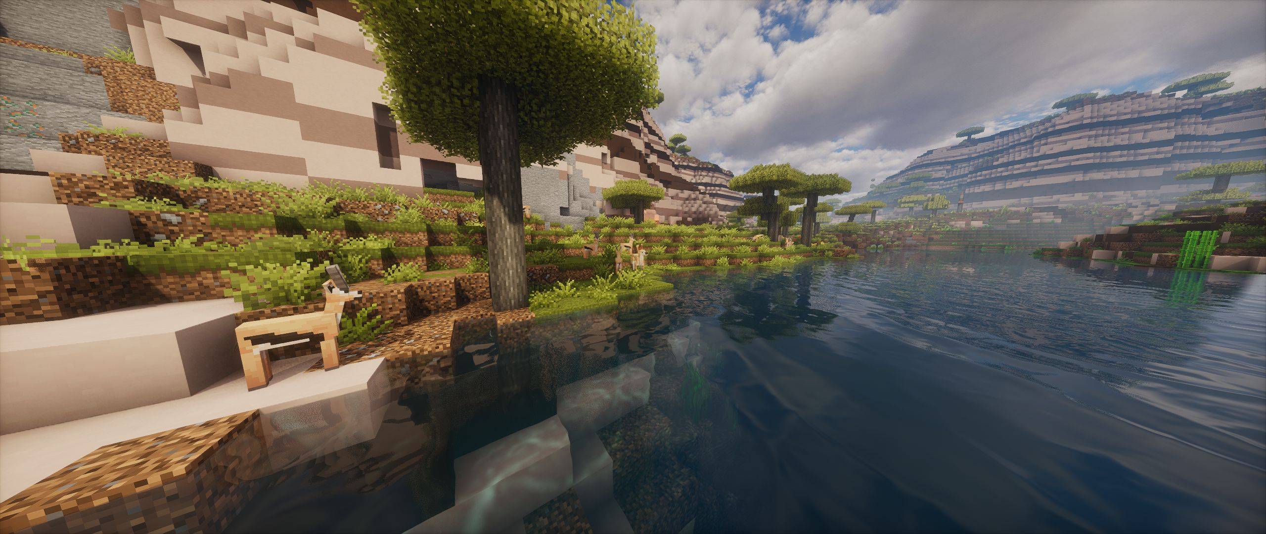 Animals next to a river... yeah, just some animals next to a river.