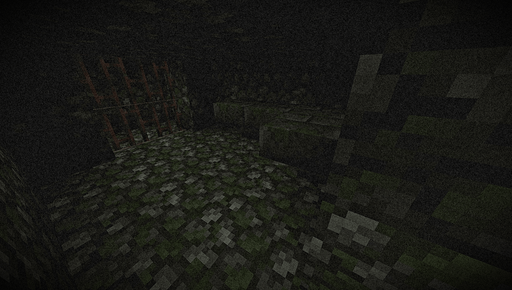 Deep in The Woods