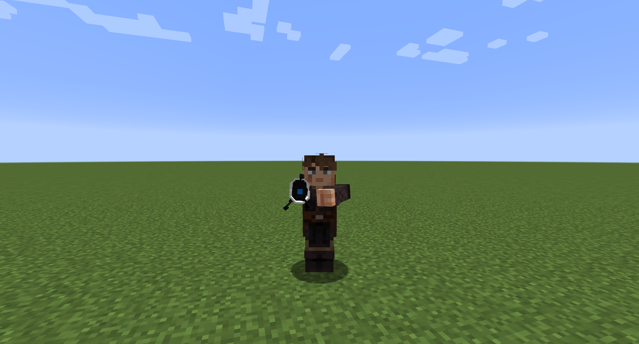 3D Model and Custom Holding Animation