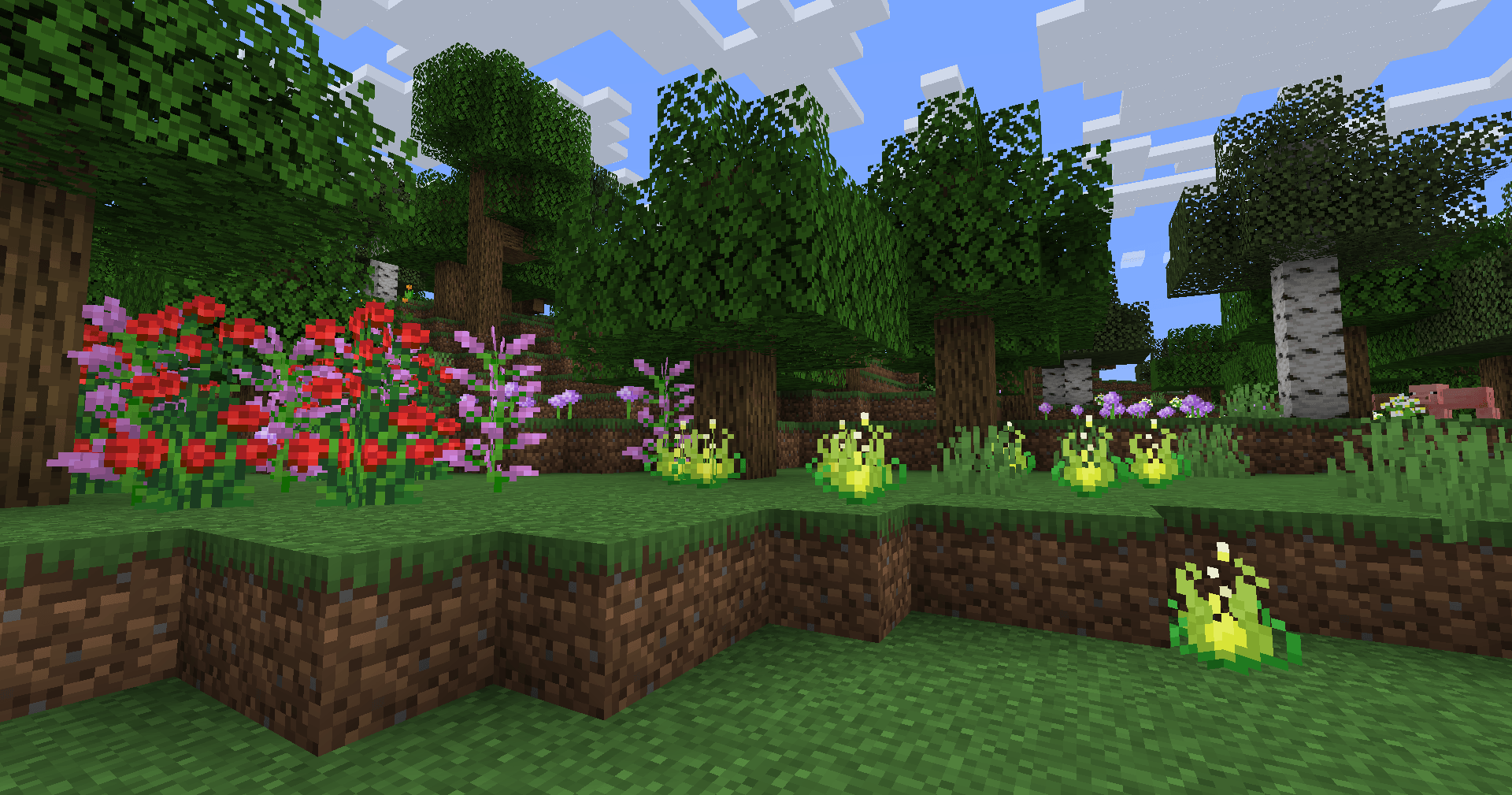 archivist's bloom